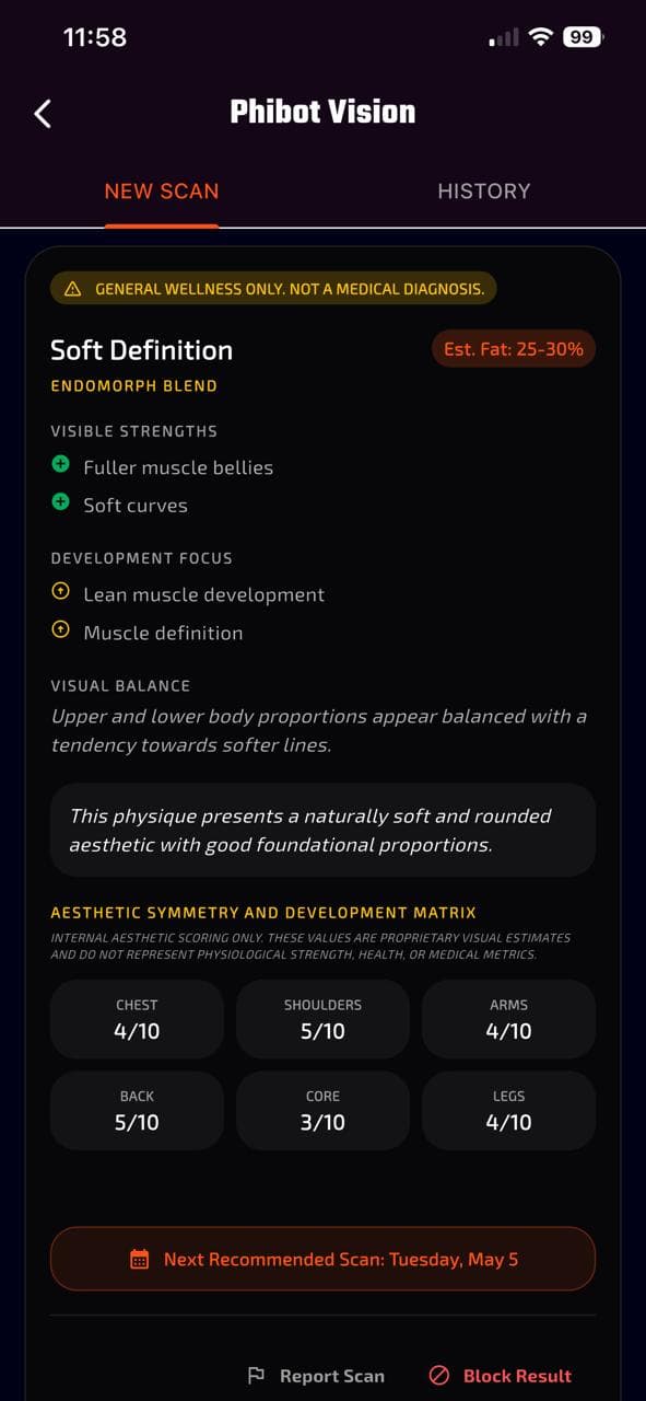 Phibidi Phision output screen showing AI physique analysis summary and symmetry metrics