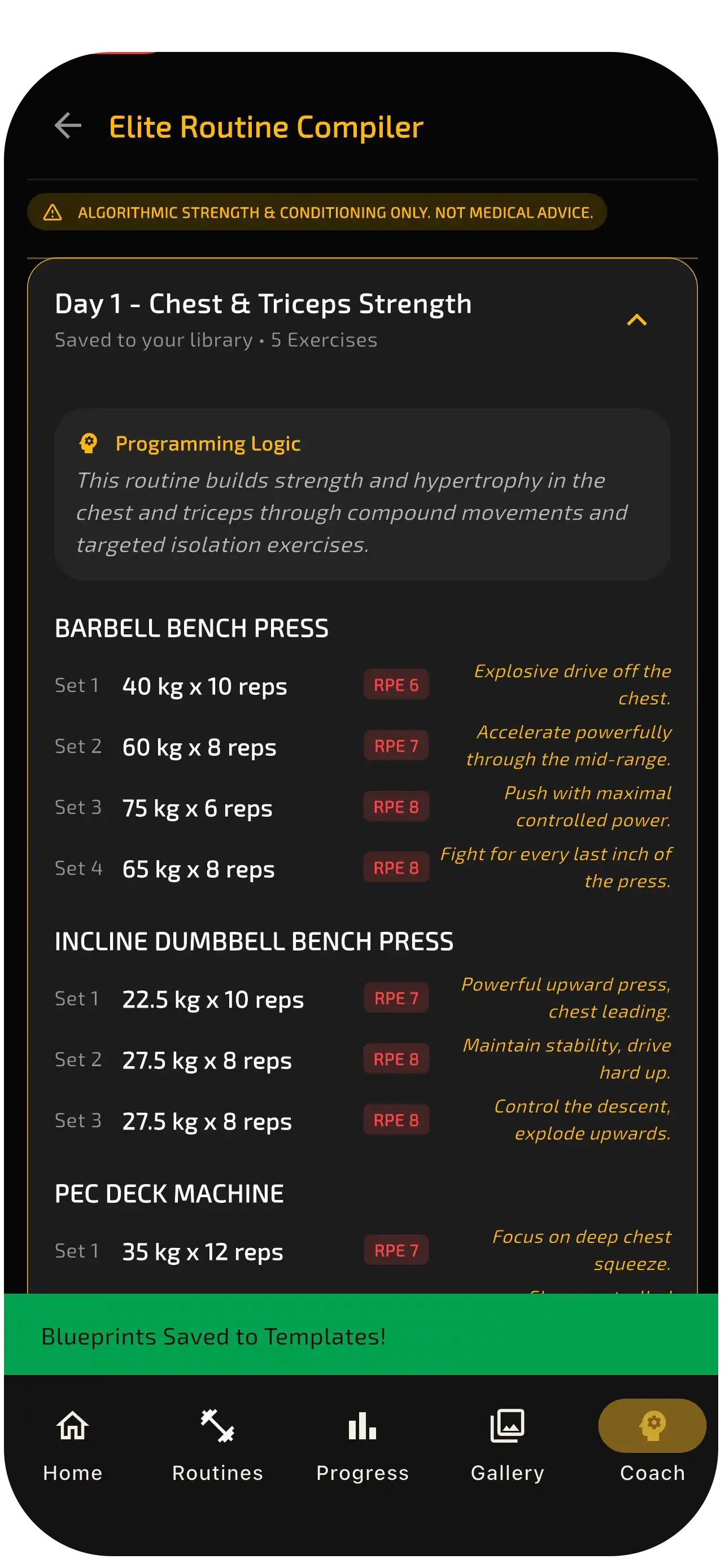PHIBIDI AI-generated routine output with day structure, programming logic, and per-set load and reps