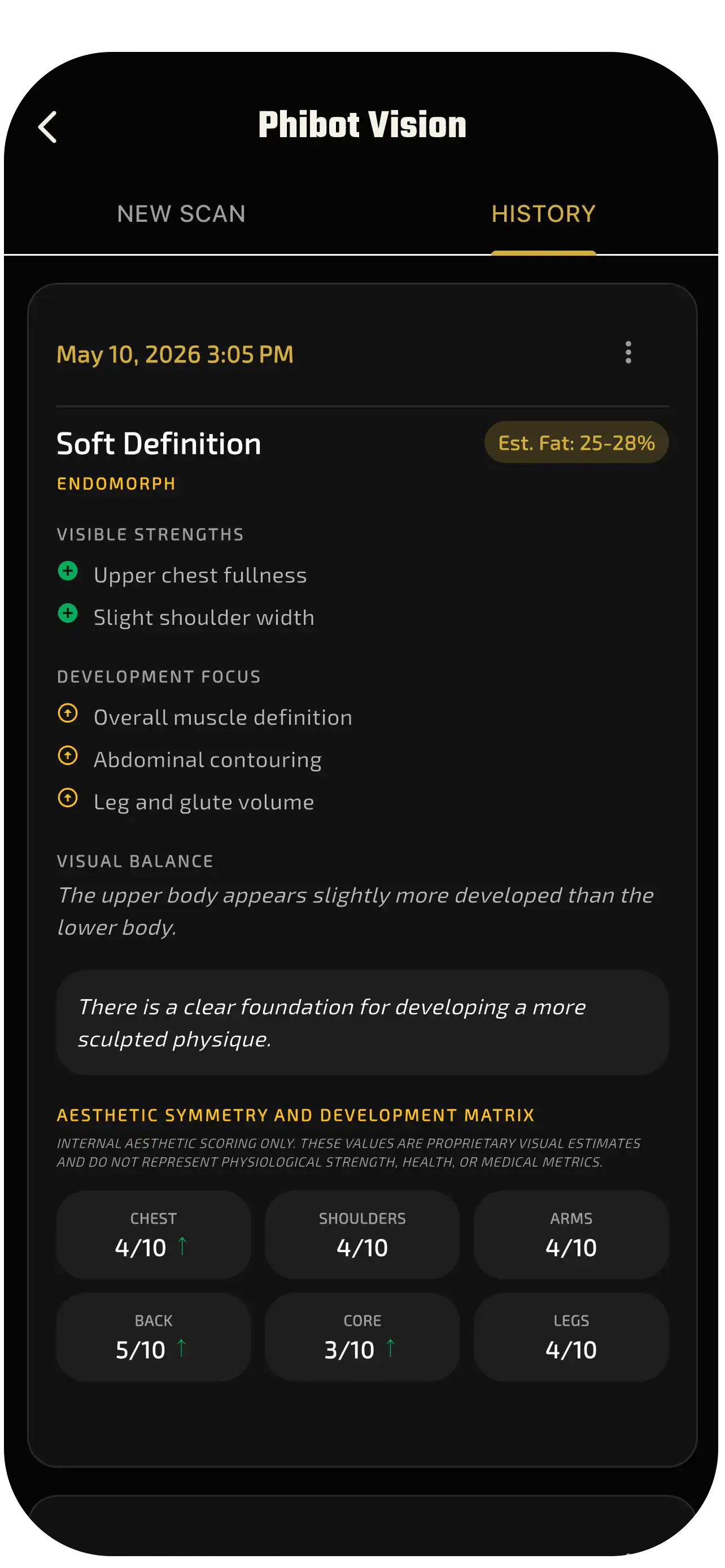 PHIBIDI physique analysis output showing definition, focus areas, and symmetry matrix